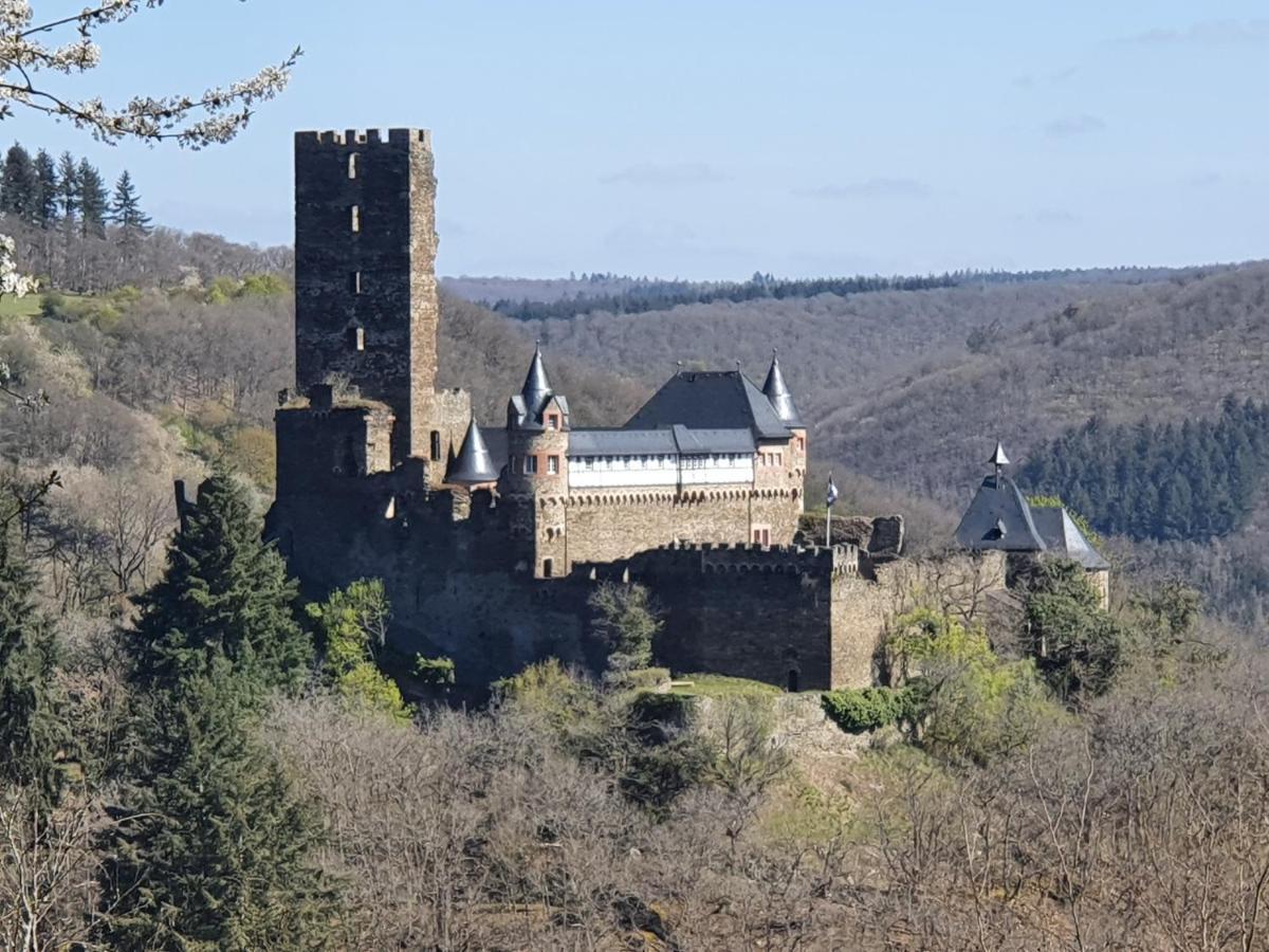 Am Burggraben Auf Der Sauerburg Daire Sauerthal Dış mekan fotoğraf